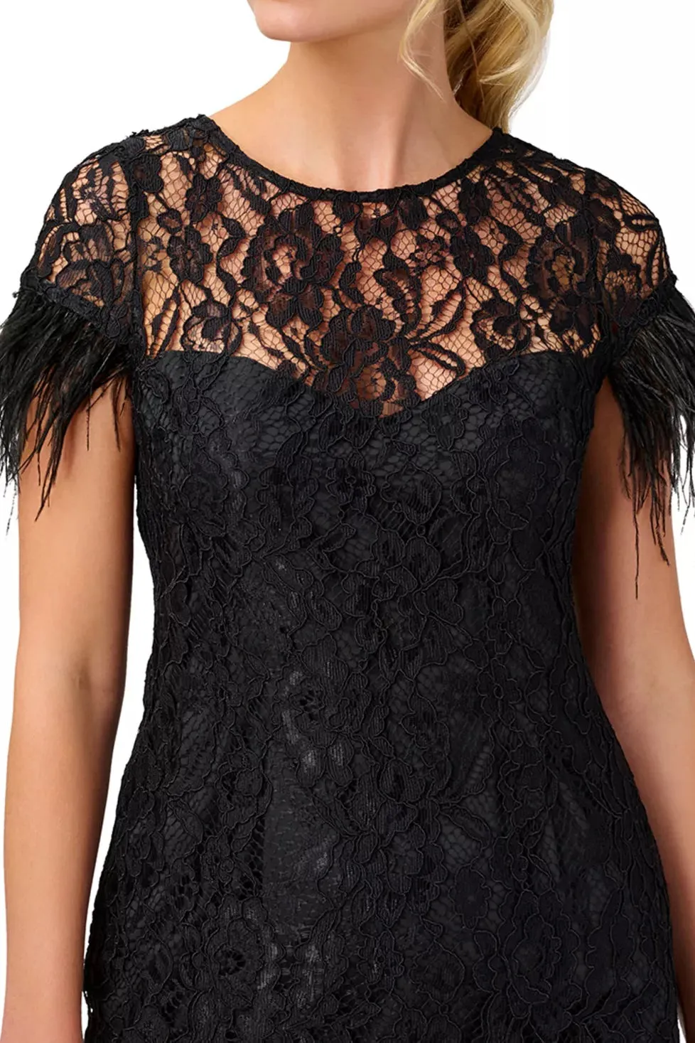 Aidan Mattox Boat Neck Short Feather Sleeves Back Zipper Short Lace Dress